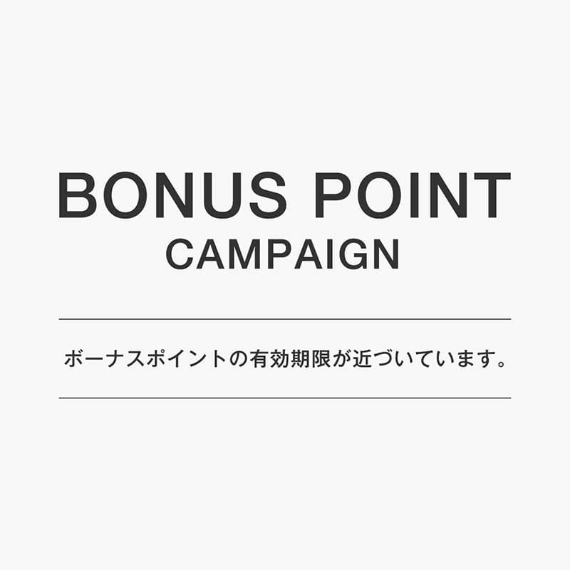 BONUS POINT CAMPAIGN