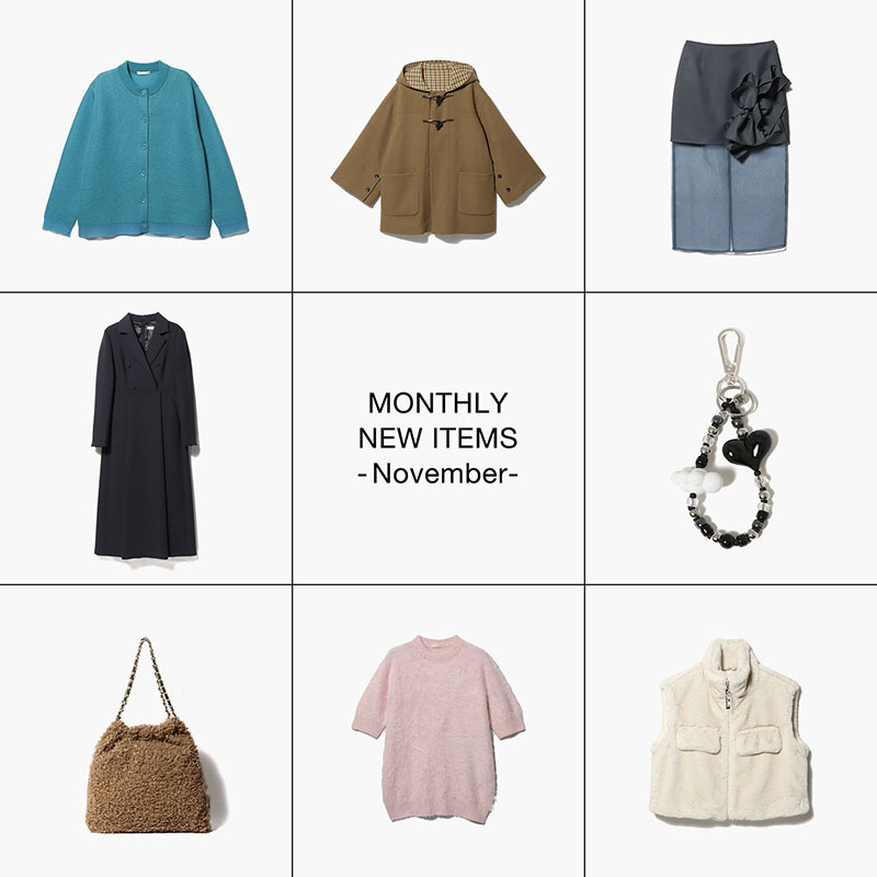 MONTHLY NEW ITEMS -November-